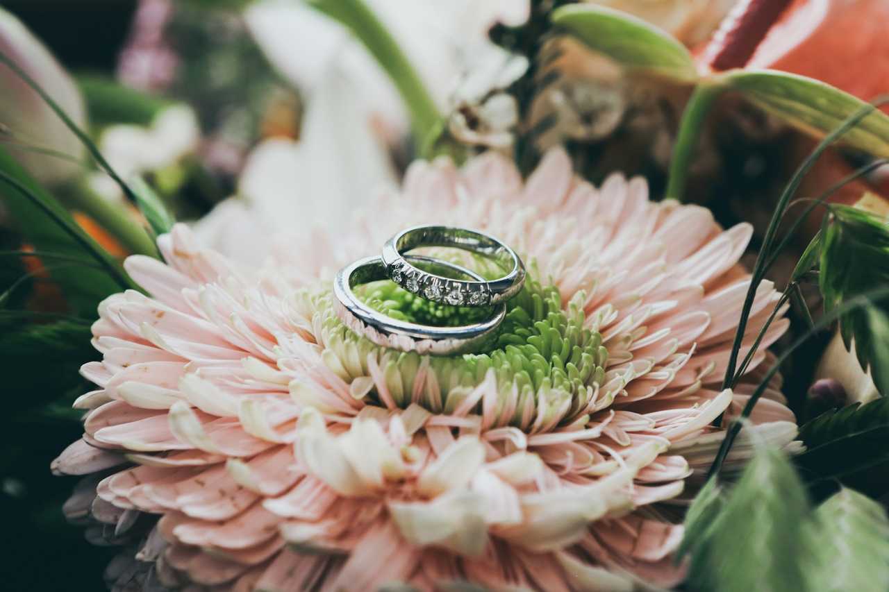 two rings over a flower for a first wedding anniversary message and wish
