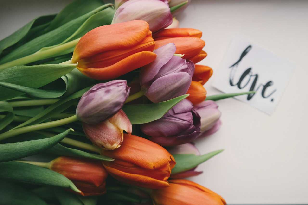 flowers and love message for love confession