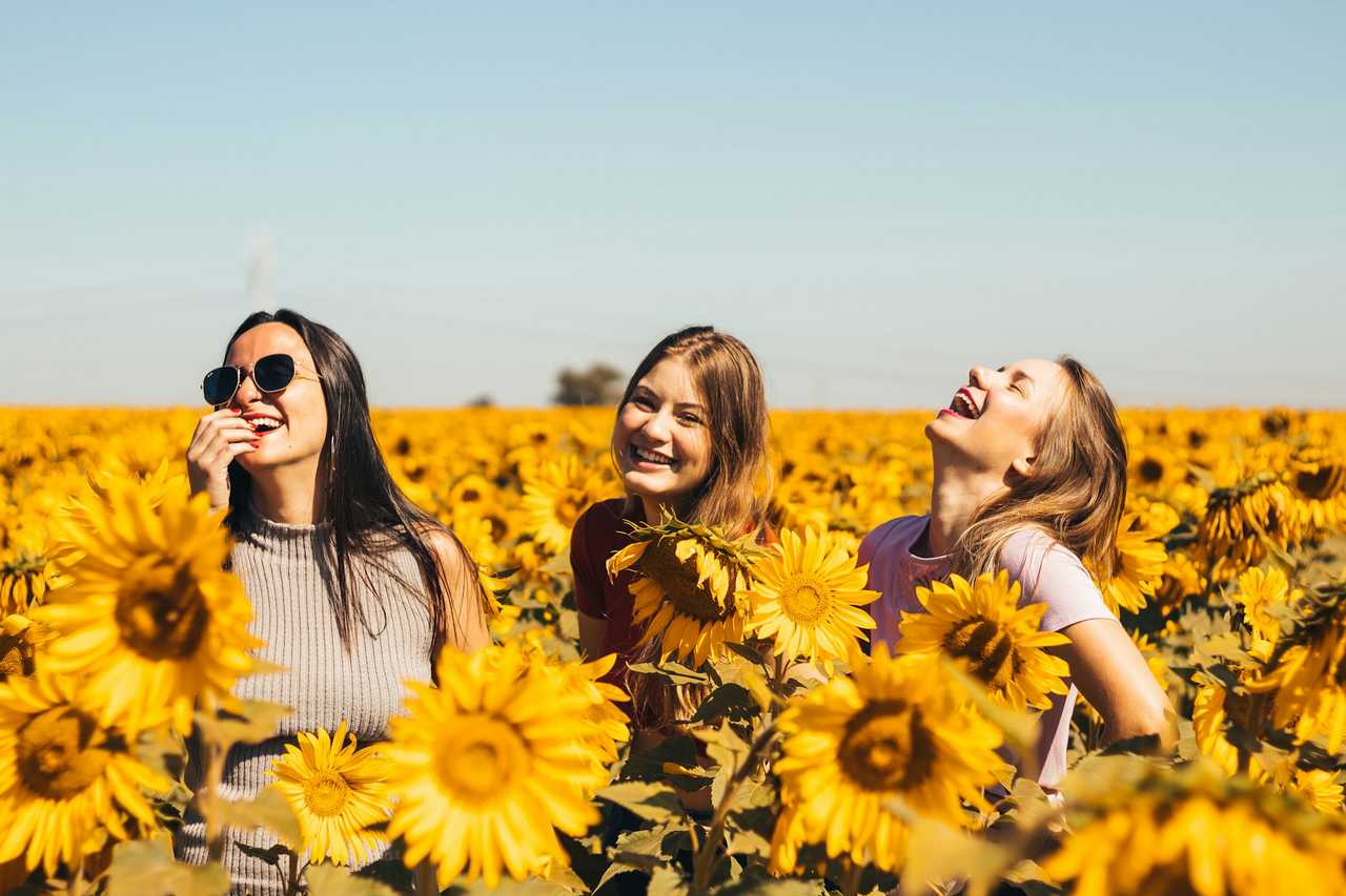 friends walking and laughing in a sunflower field sending short positive messages