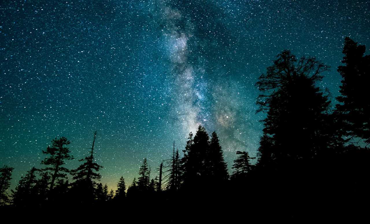 night sky over dark forest to send good night love messages for him