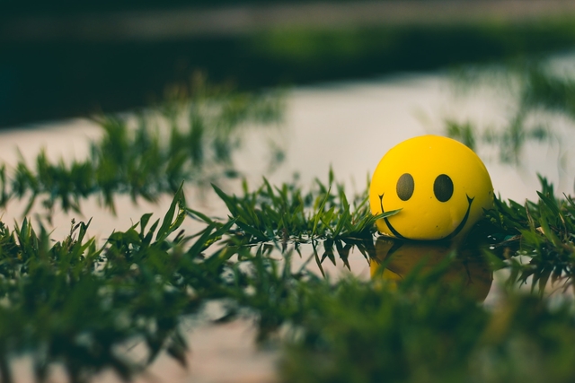 featured image thumbnail for post 🌈 75 Positive Messages and Quotes to Feel Great Everyday