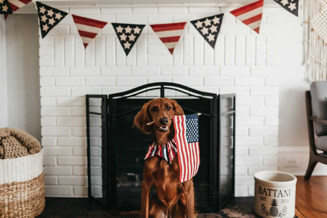 dog holding a US flag with its mouth in front of a decorated fireplace for 4th of july independence day