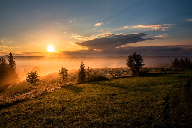 sunrise in a grass field with good morning dad messages and quotes