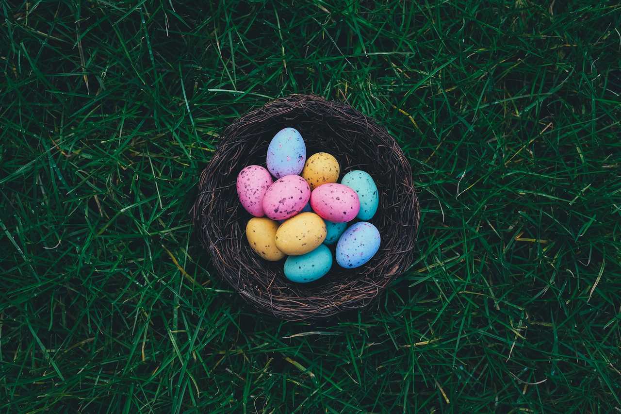 eggs in a basket in a grass field so say happy easter
