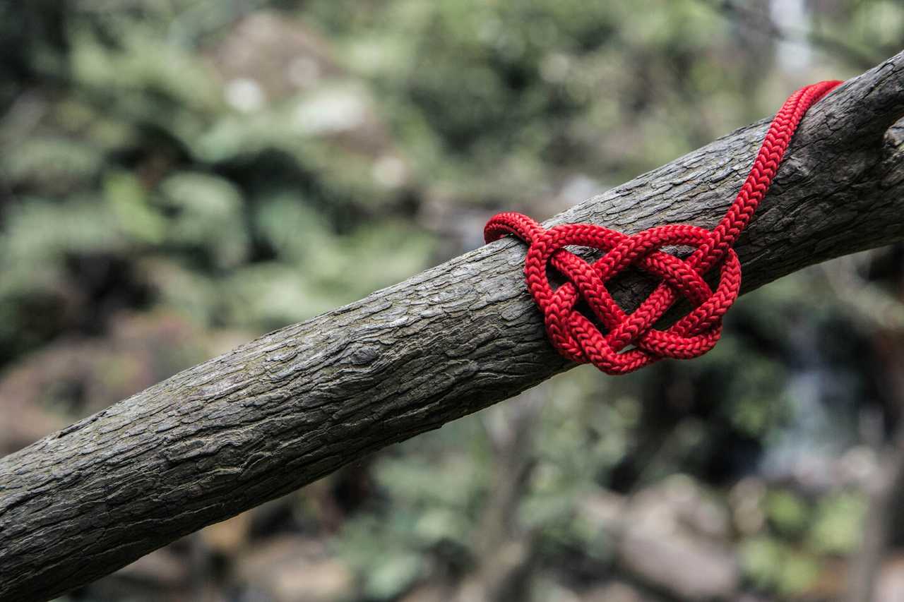 red knot tied into a tree branch for valentines day messages for wife