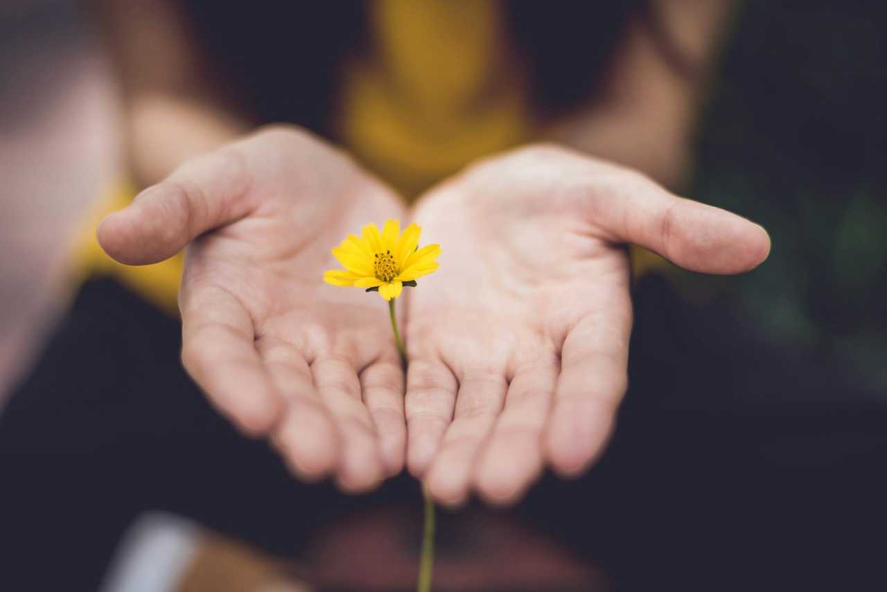 hand offering a small yellow flower with the ai messages and greetings generator at Gifft.me