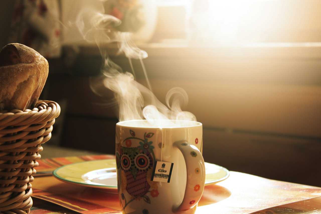 mug with fog and owl illustration in a breakfast table to send good morning messages for a sweetheart