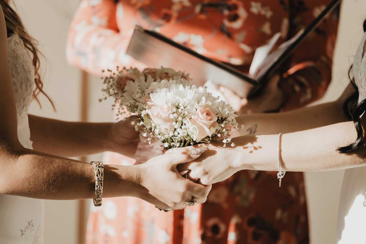 sofia hernandez 8ccfjxr8ktw unsplash