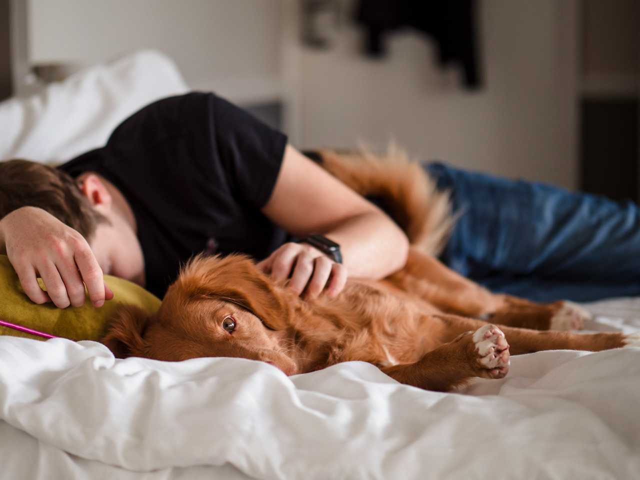 man sleeping in bed with his dog having good night sweet dreams