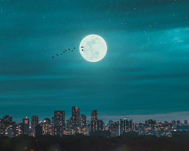 good night messages sent with moon shining in the sky at night at the city